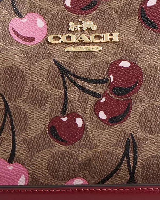 Coach Shoulder Bag