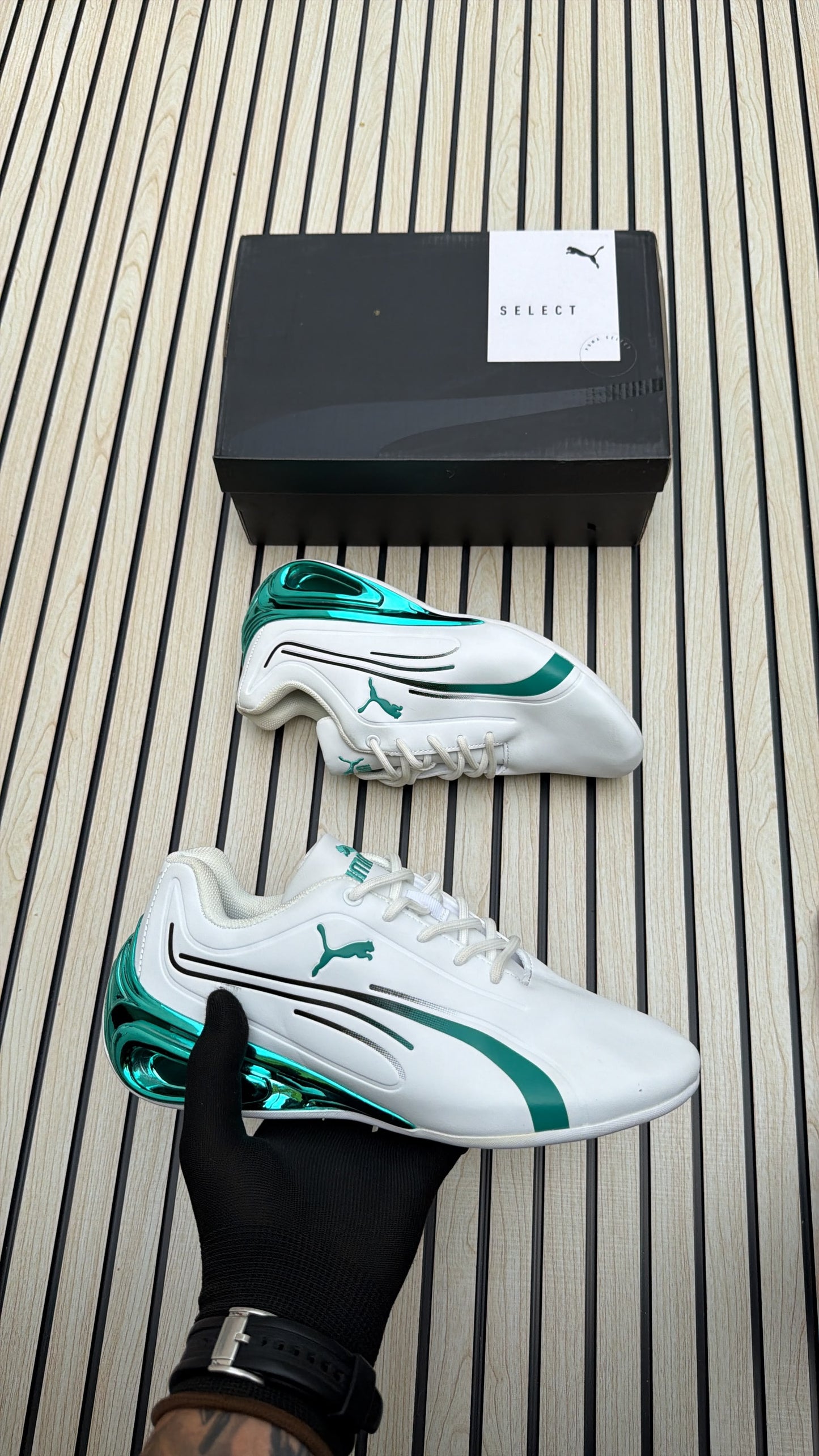 Puma drift cat