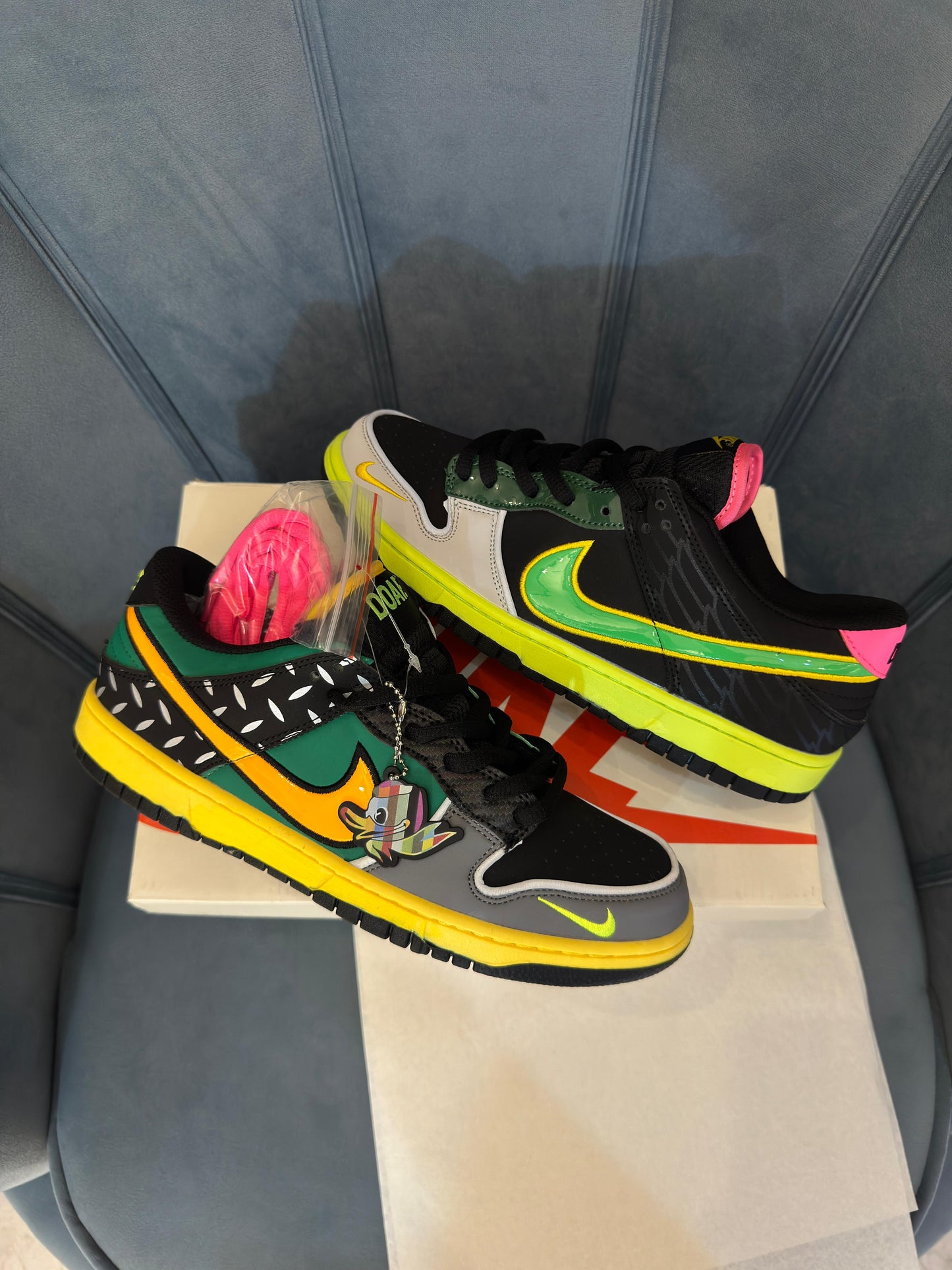 Nike sb dunk what the duck