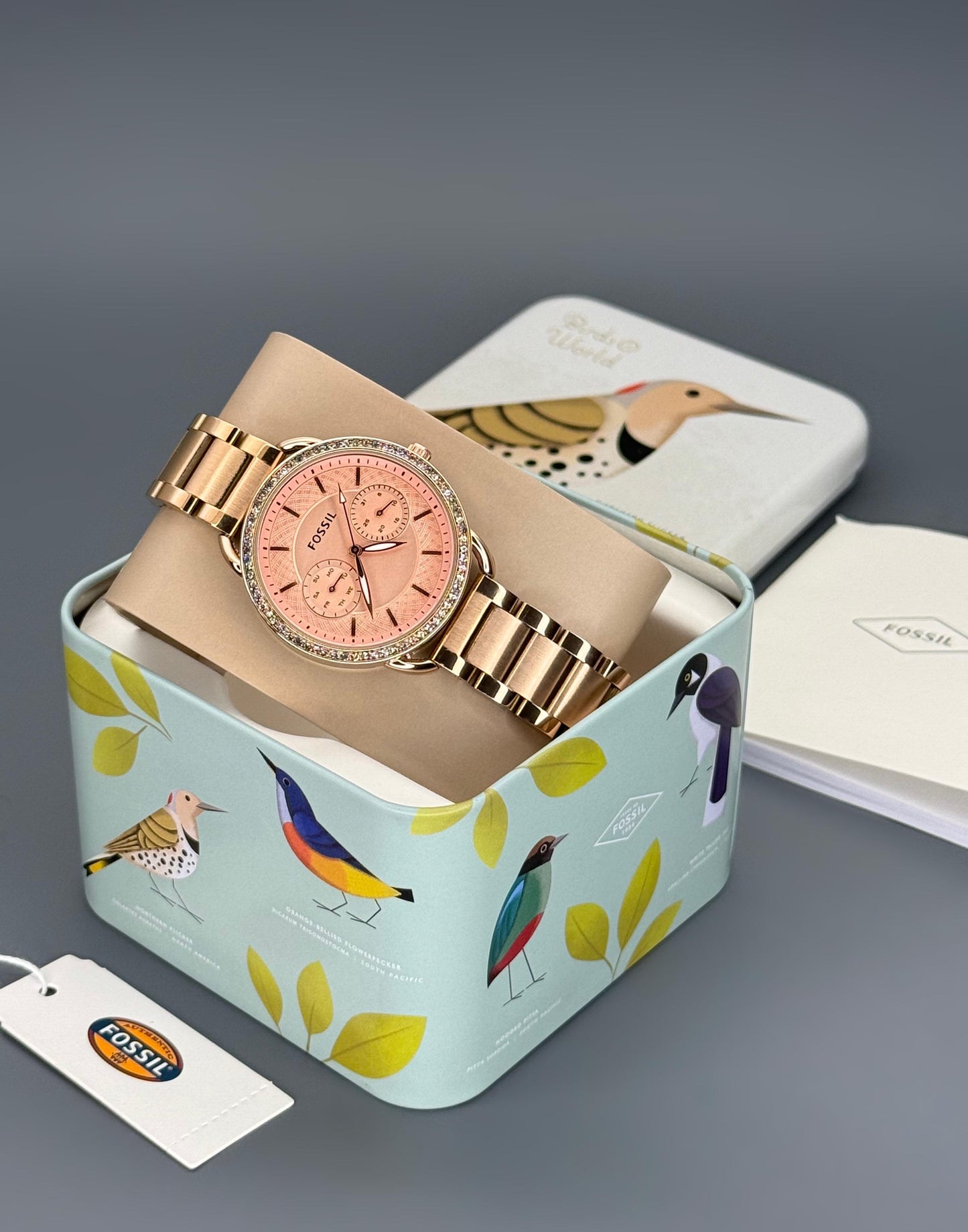 Fossil tailor