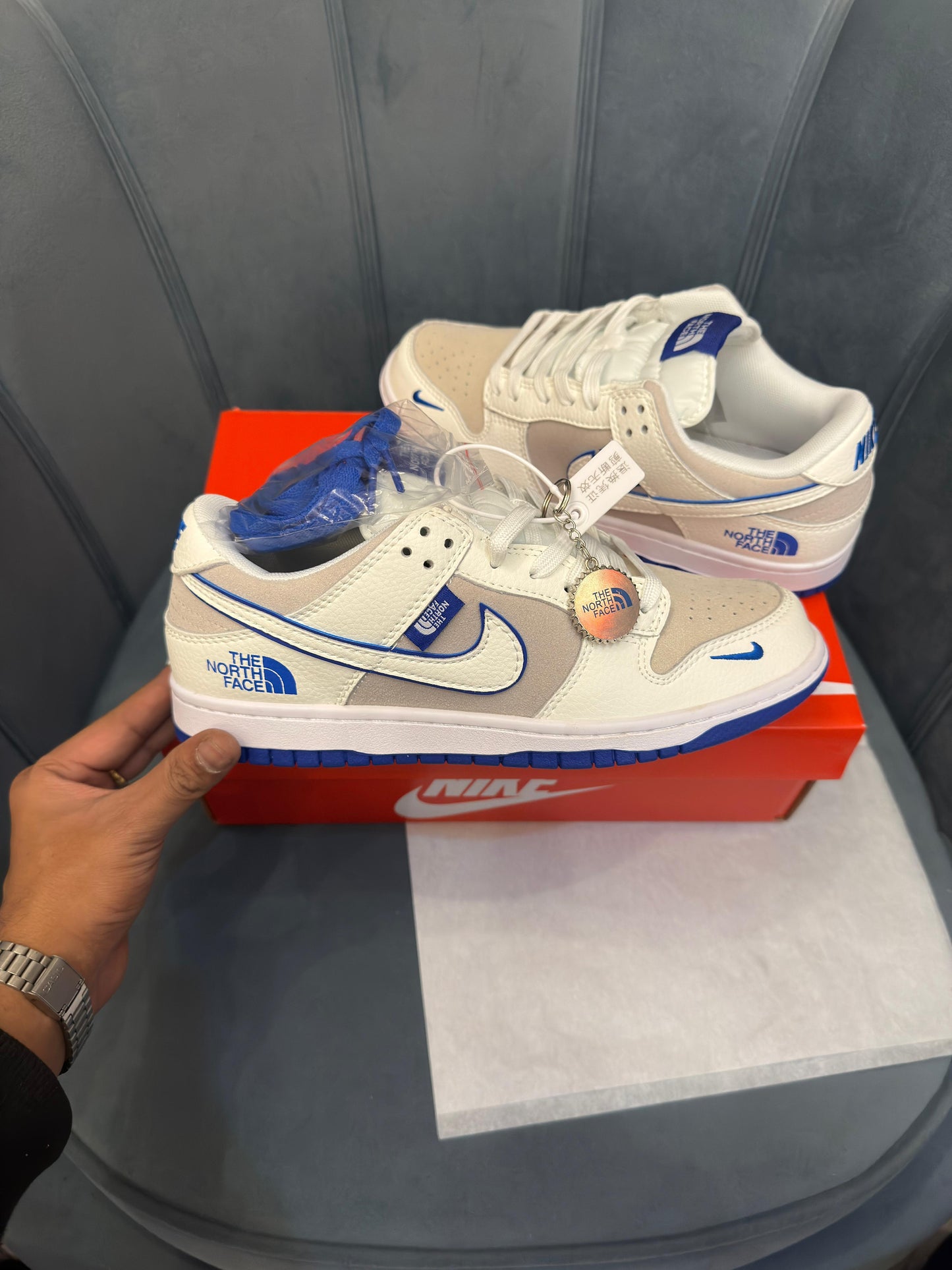Nike sb dunk x north face