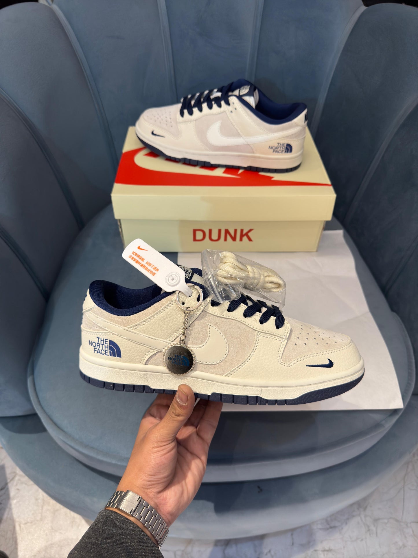 Nike sb dunk x the north face