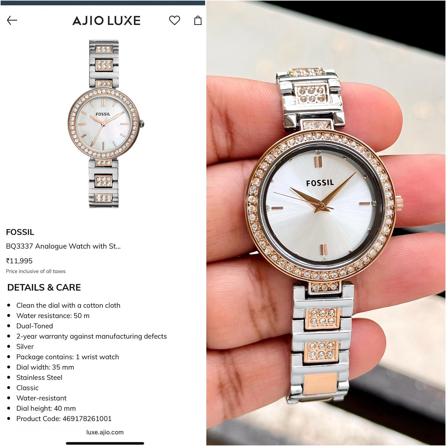 Fossil premius karli
