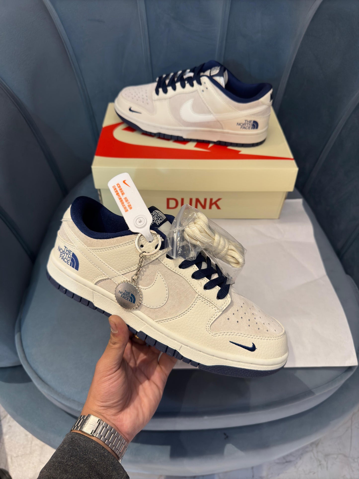 Nike sb dunk x the north face