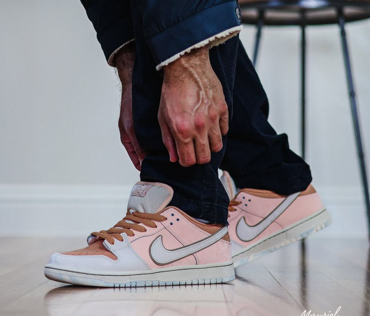 Nike sb dunk trocardero gardens