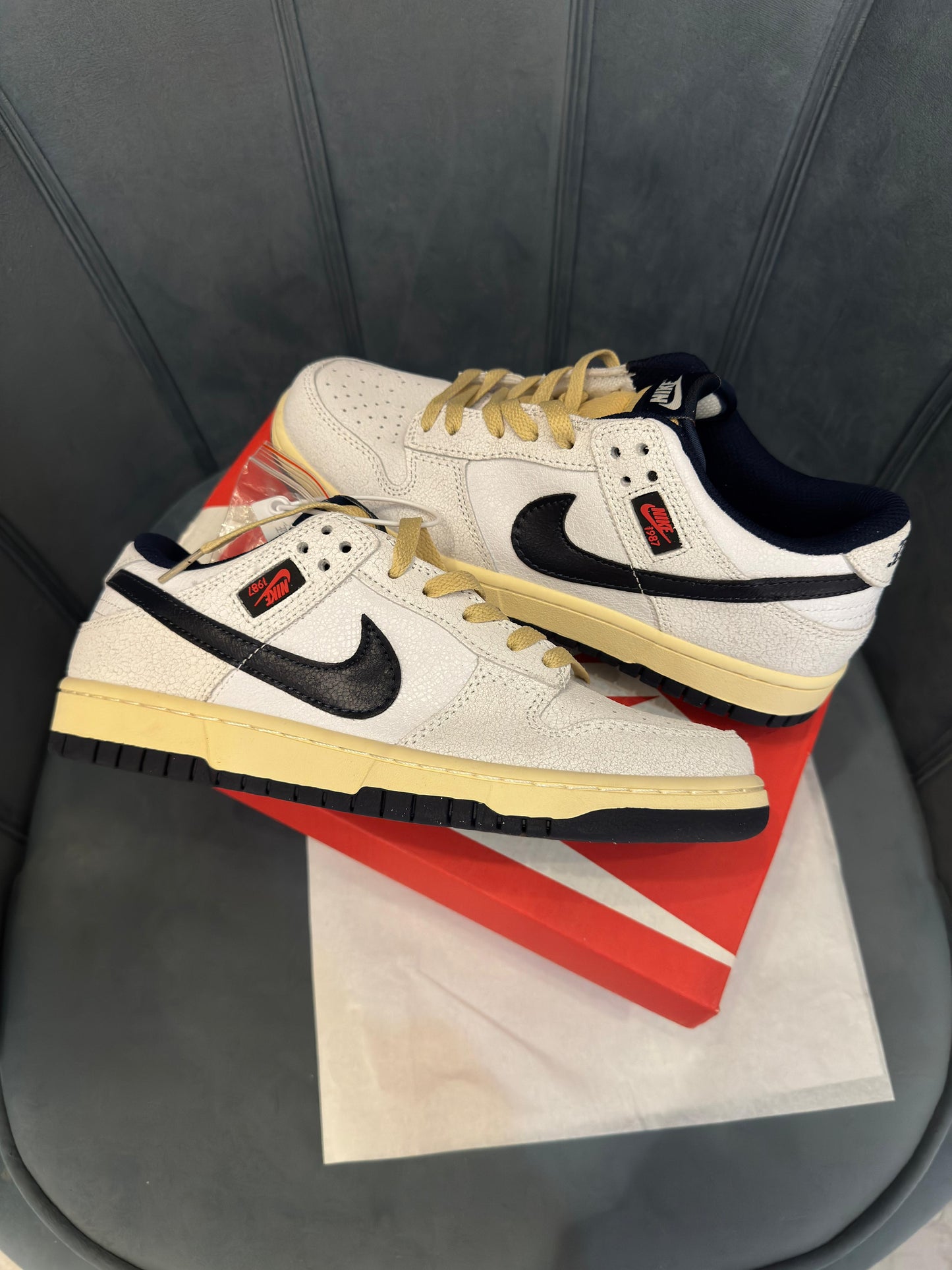 Nike sb dunk x stranger things
