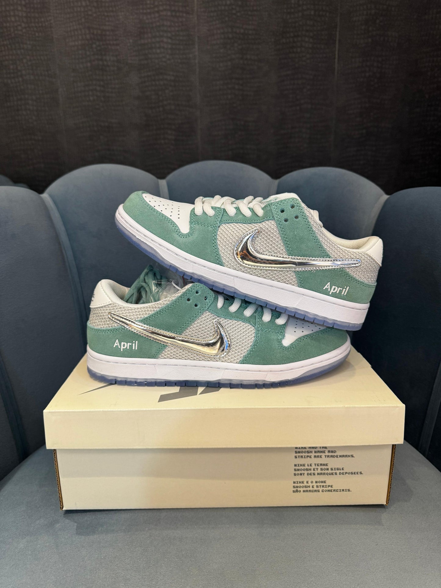 Nike sb dunk skateboard
