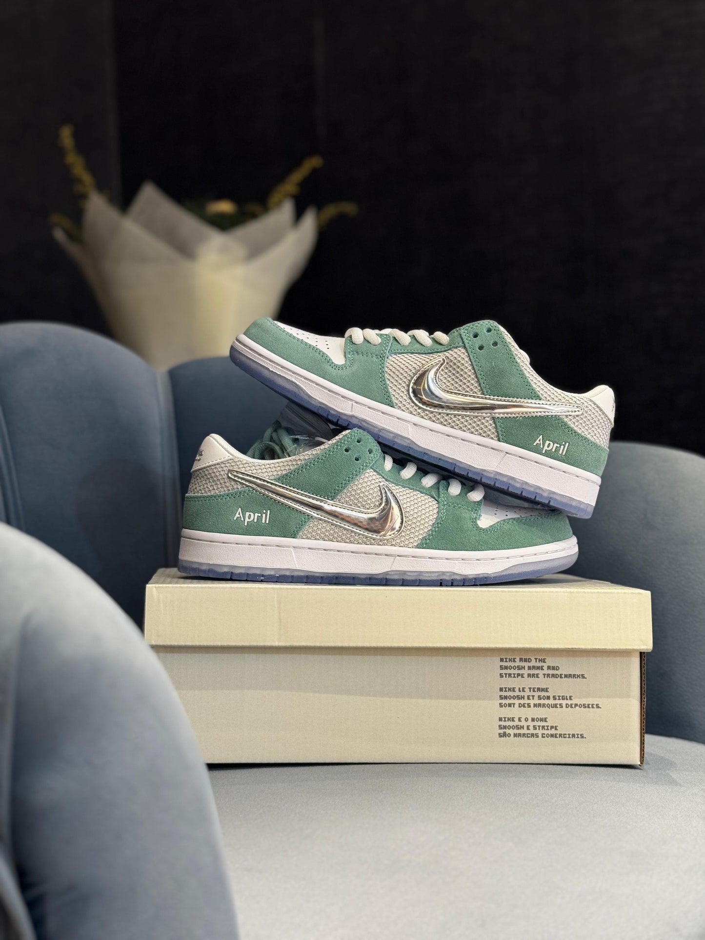Nike sb dunk skateboard