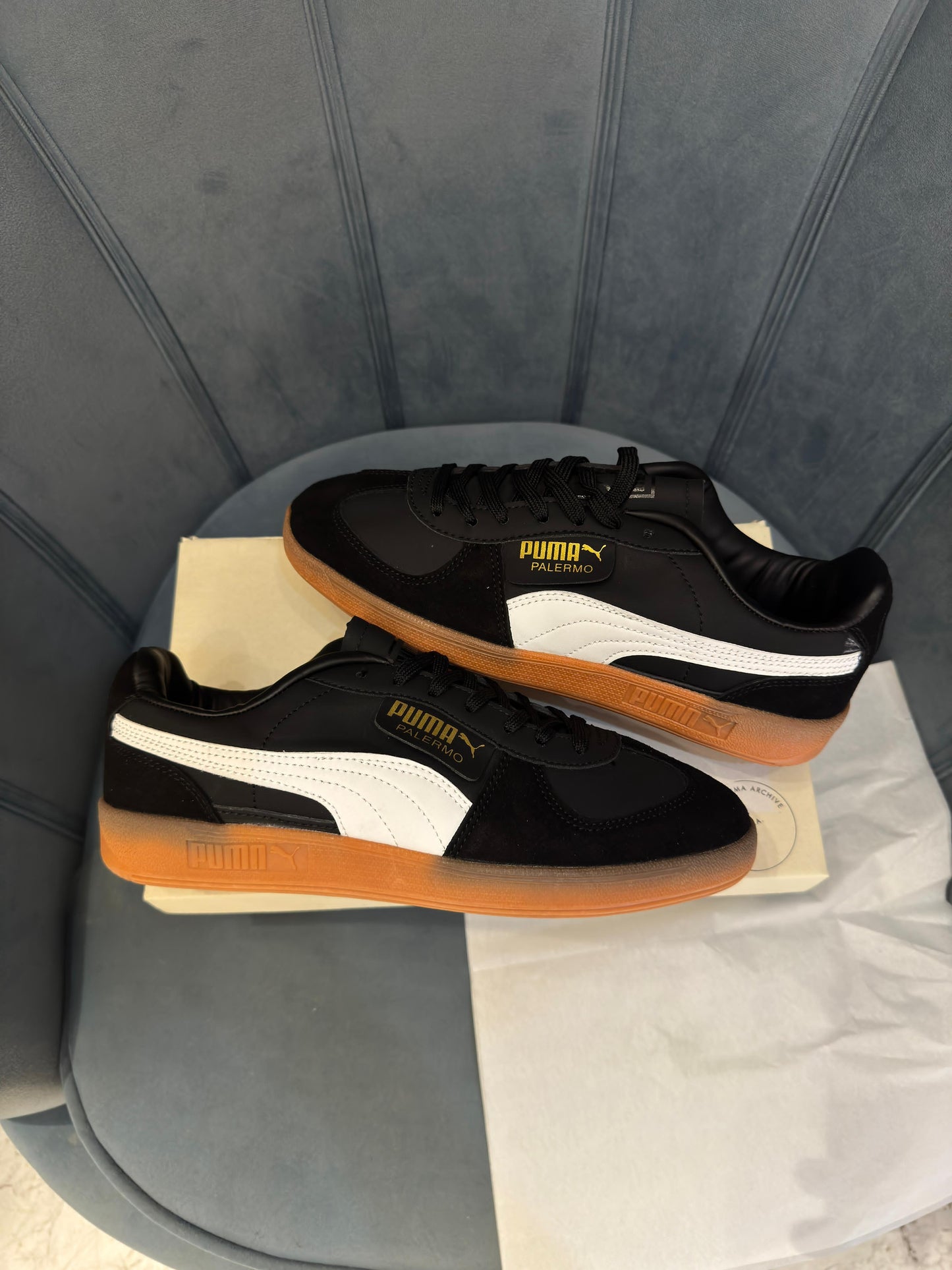 Puma palermo