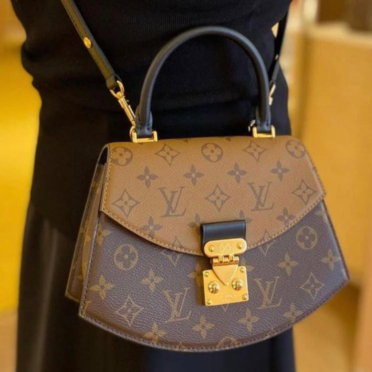 Louis Vuitton Handbag and Shoulder bag