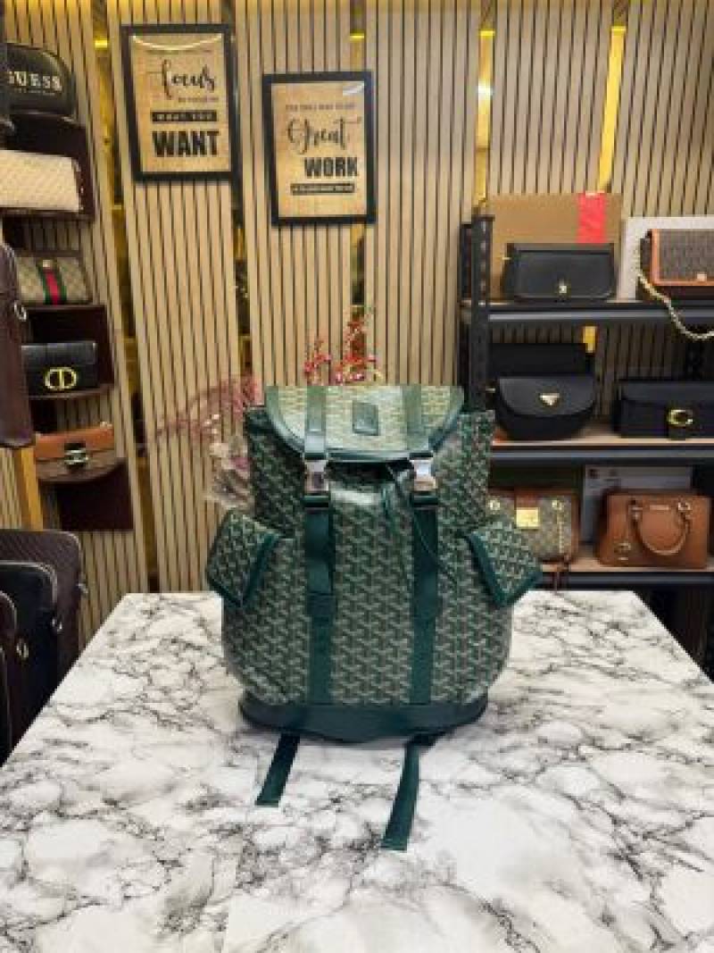 Goyard Alpin Backpack In Goyardian Pattern Premium Quality (Green)