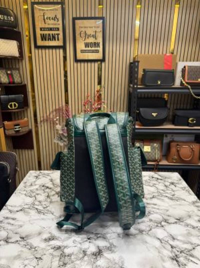 Goyard Alpin Backpack In Goyardian Pattern Premium Quality (Green)