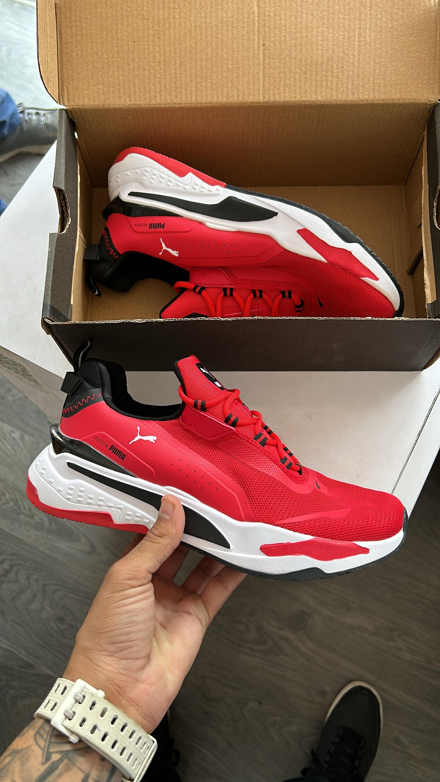 Puma system 2024