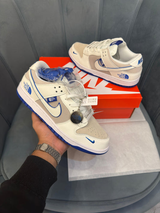 Nike sb dunk x north face