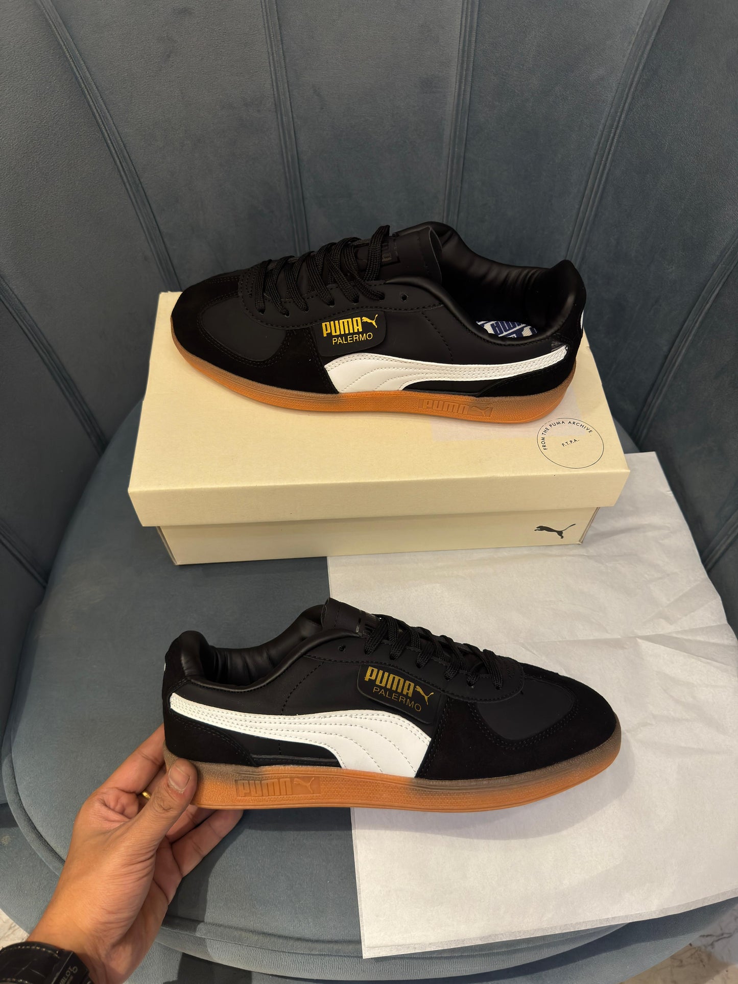 Puma palermo
