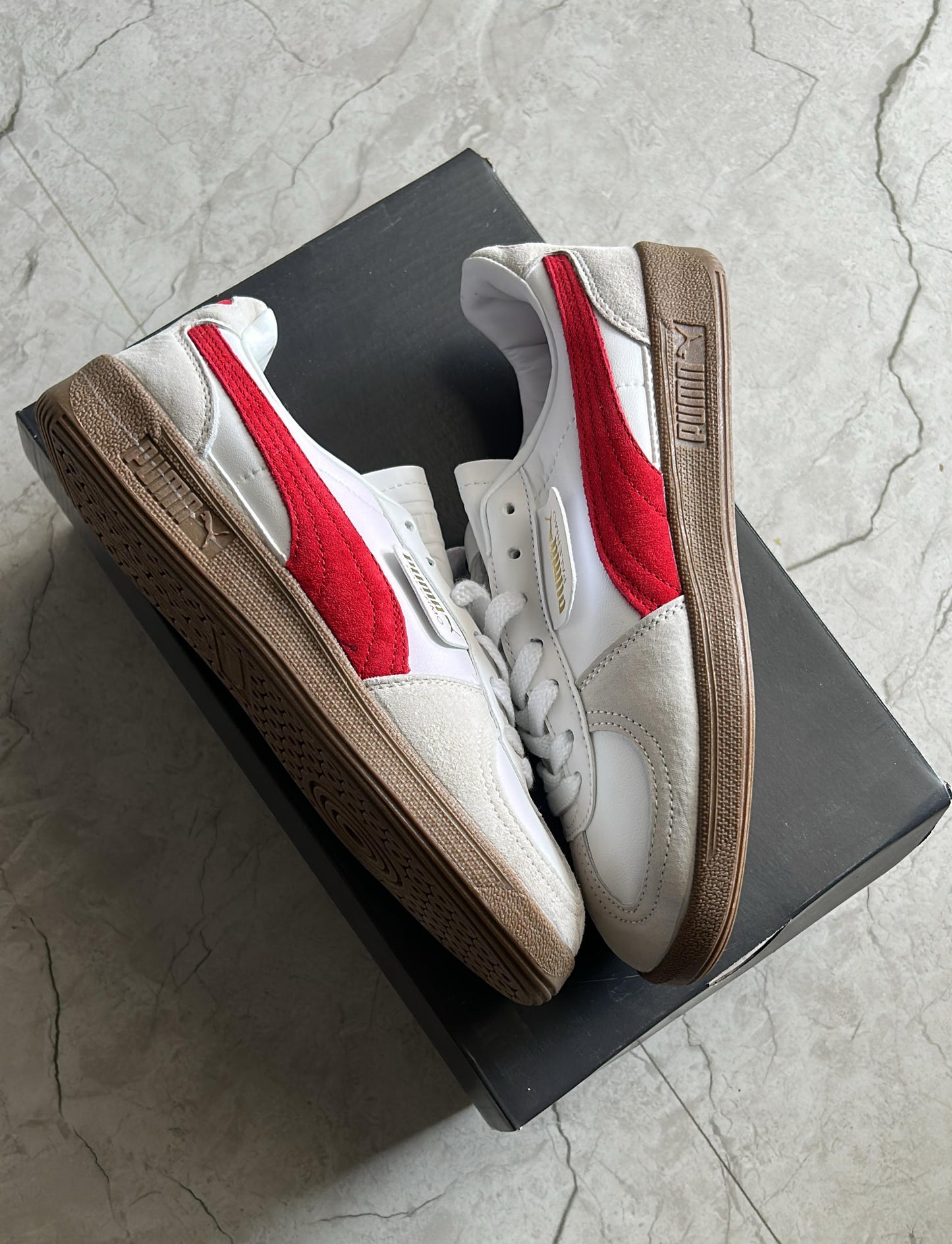 Puma palermo