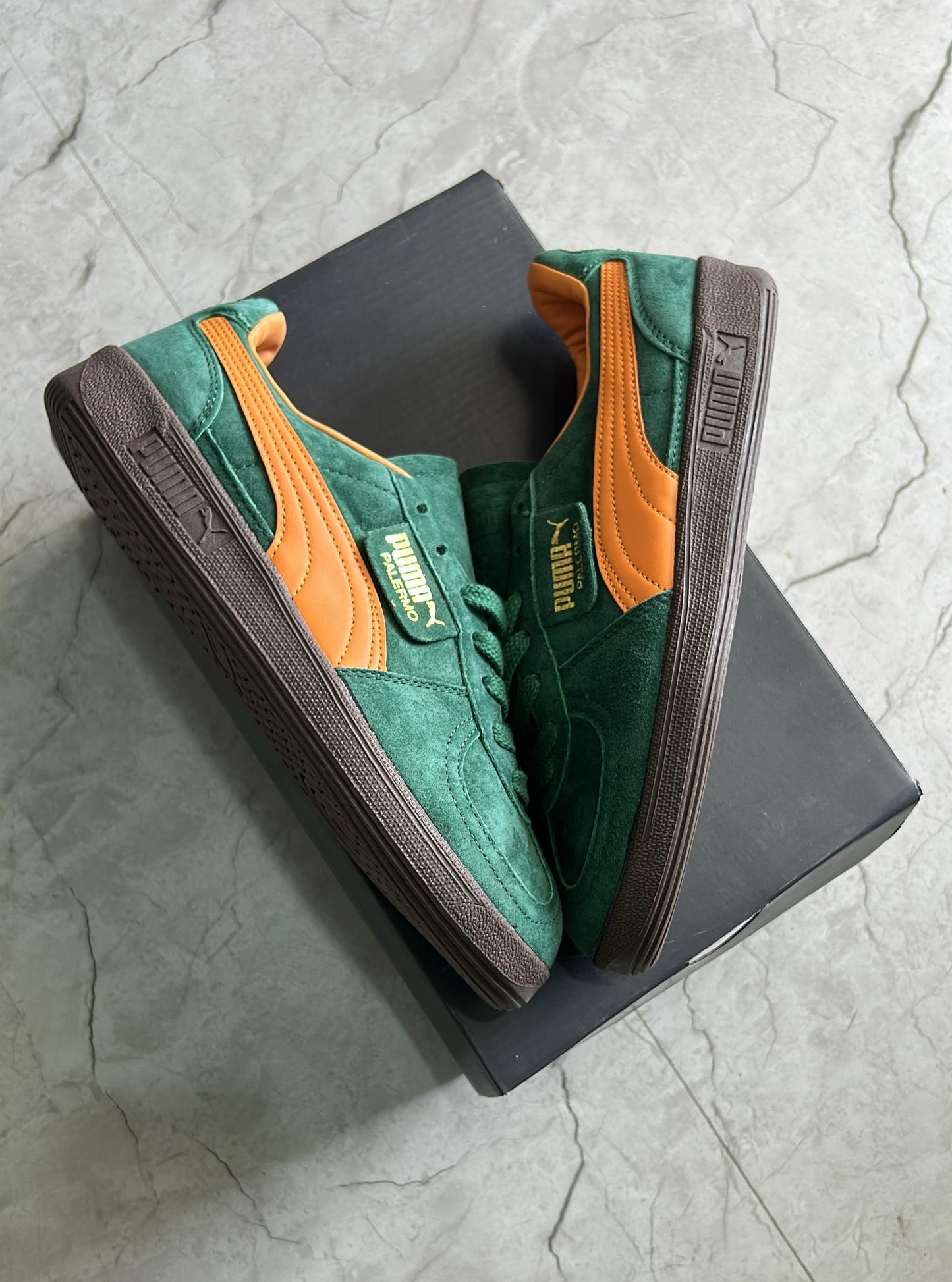 Puma palermo