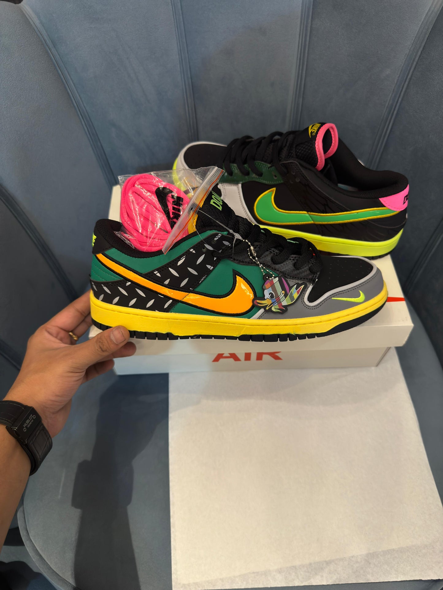 Nike sb dunk what the duck
