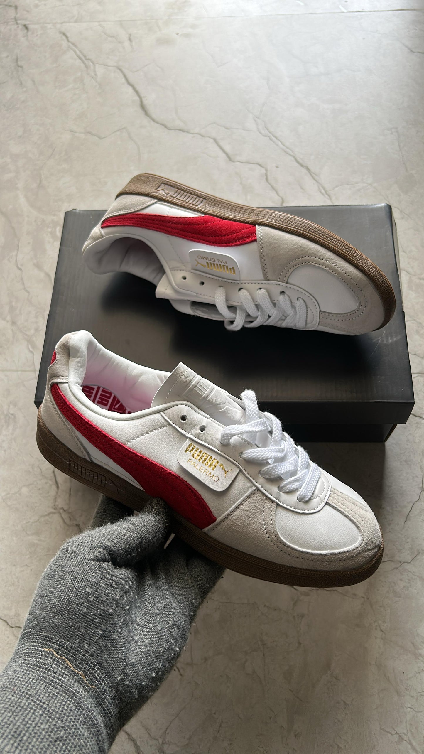 Puma palermo