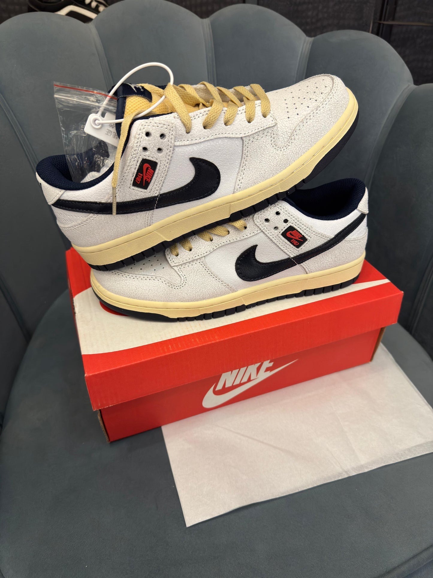 Nike sb dunk x stranger things