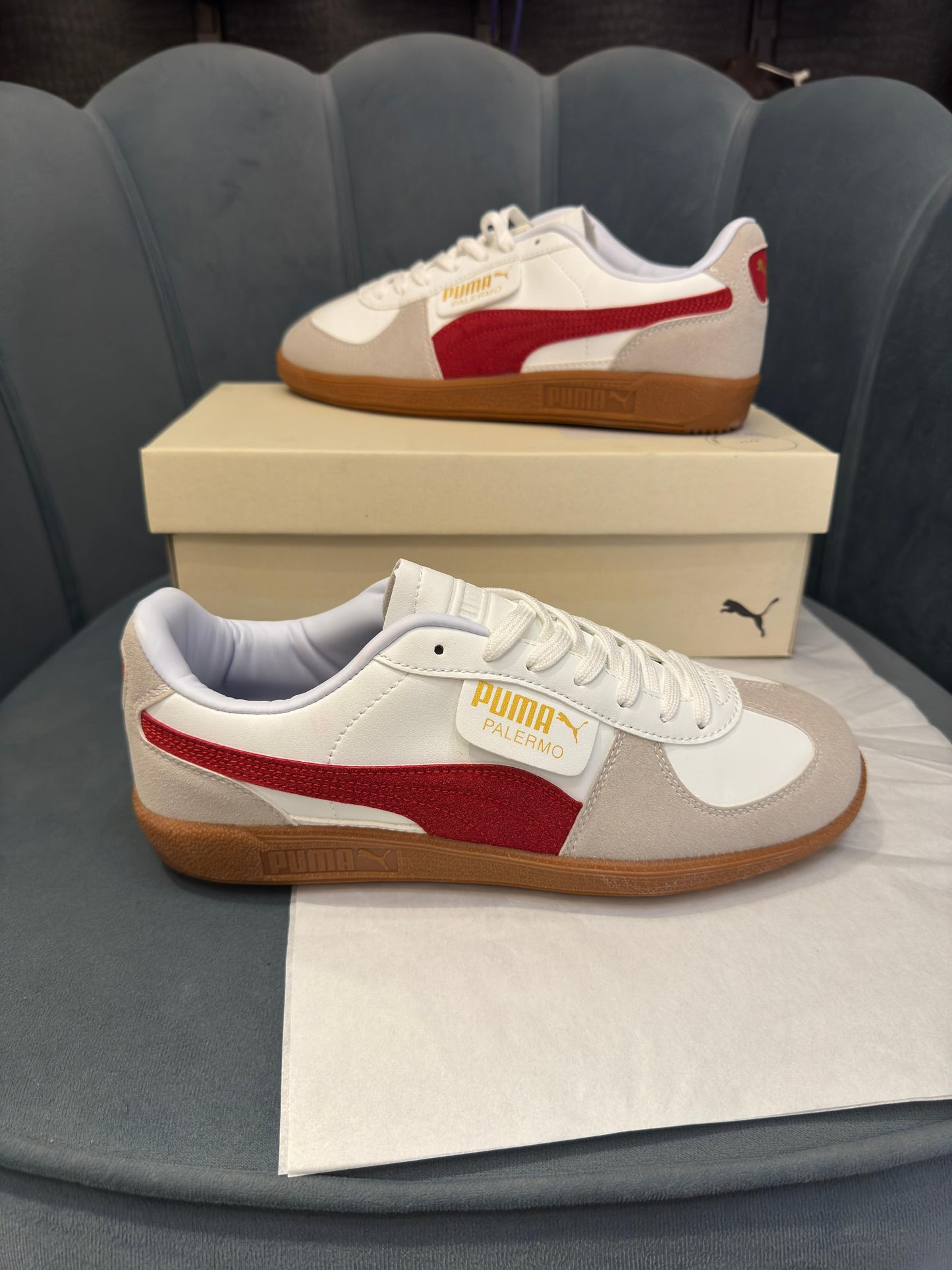 Puma palermo