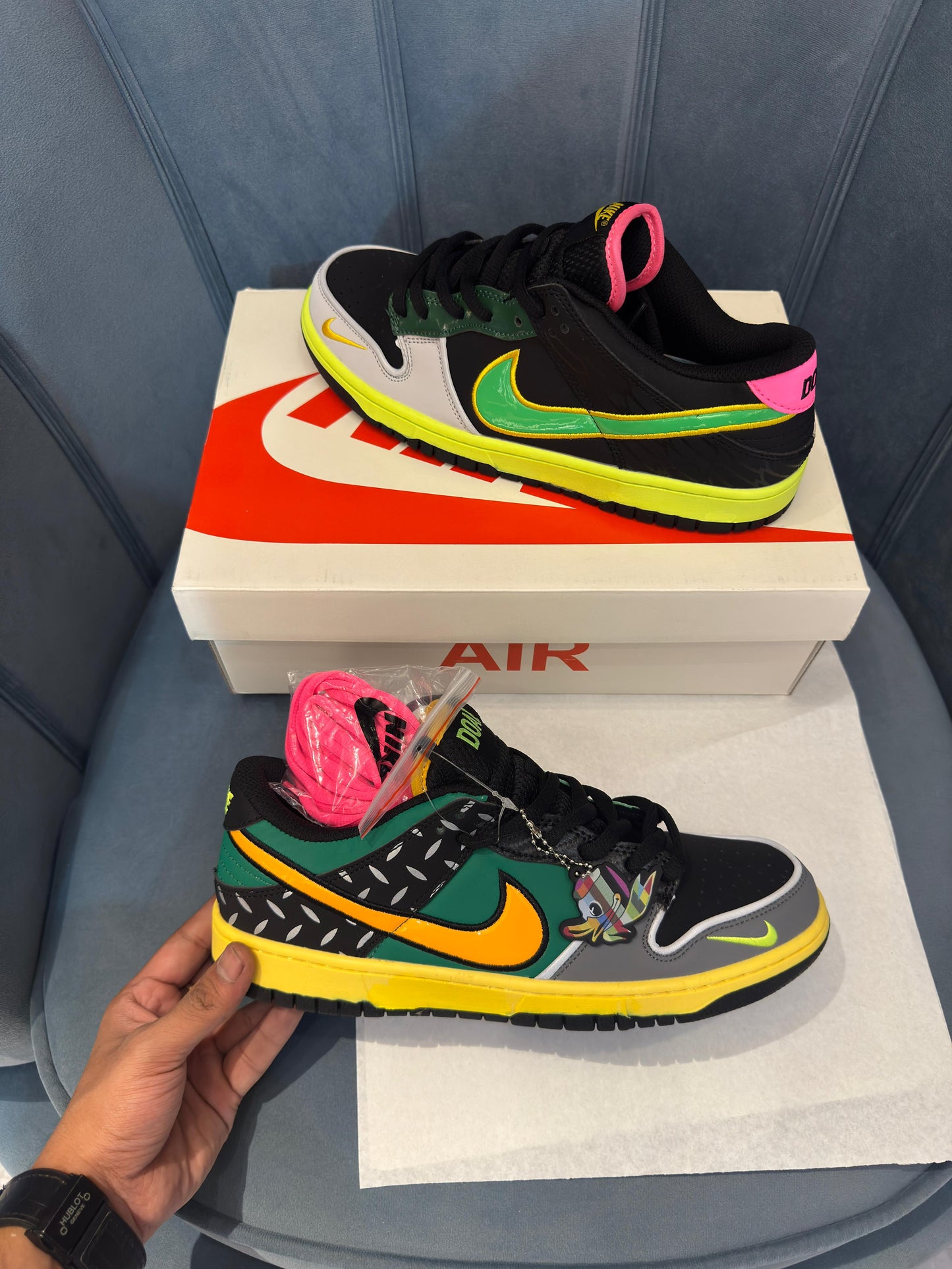 Nike sb dunk what the duck