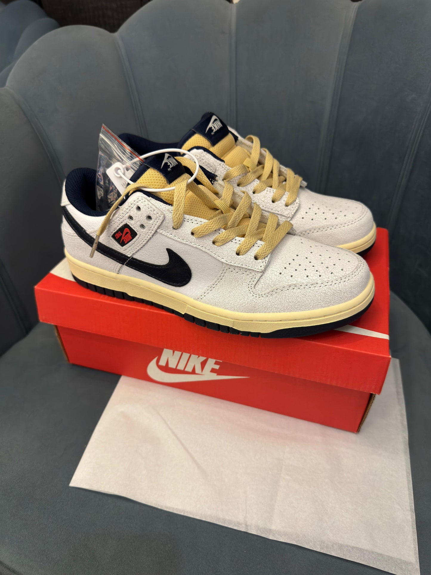 Nike sb dunk x stranger things