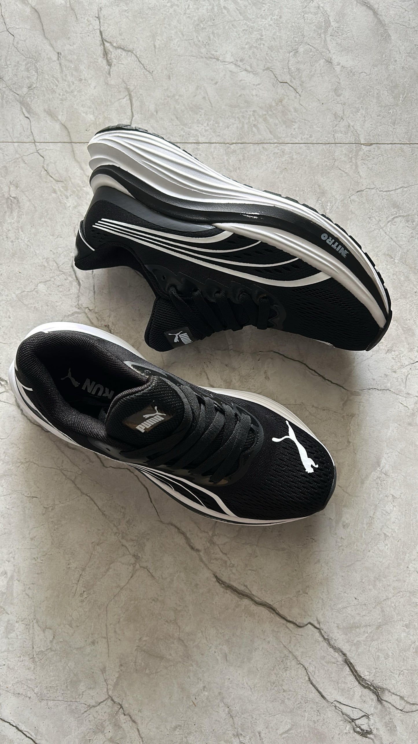 Puma magmax