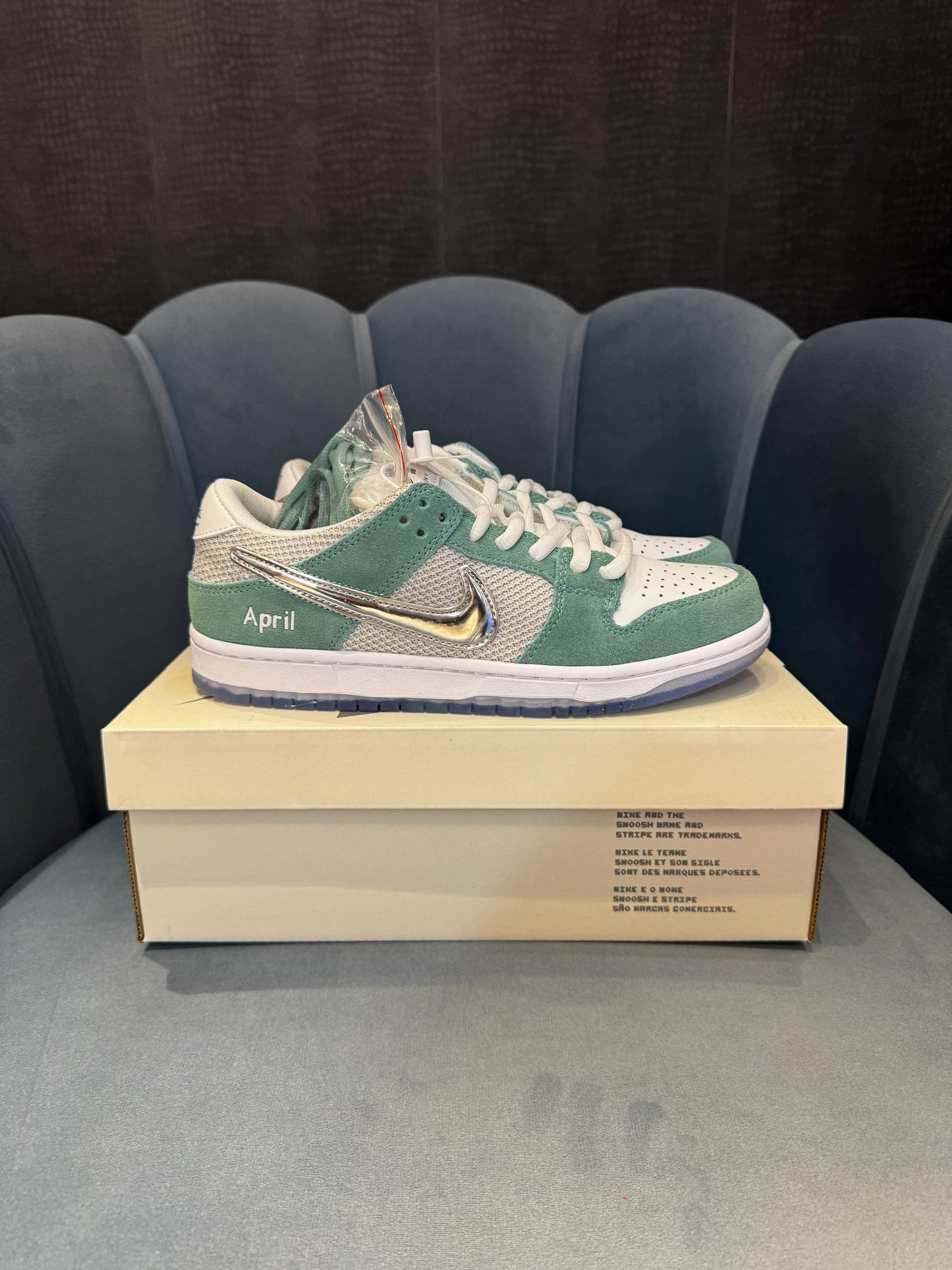 Nike sb dunk skateboard