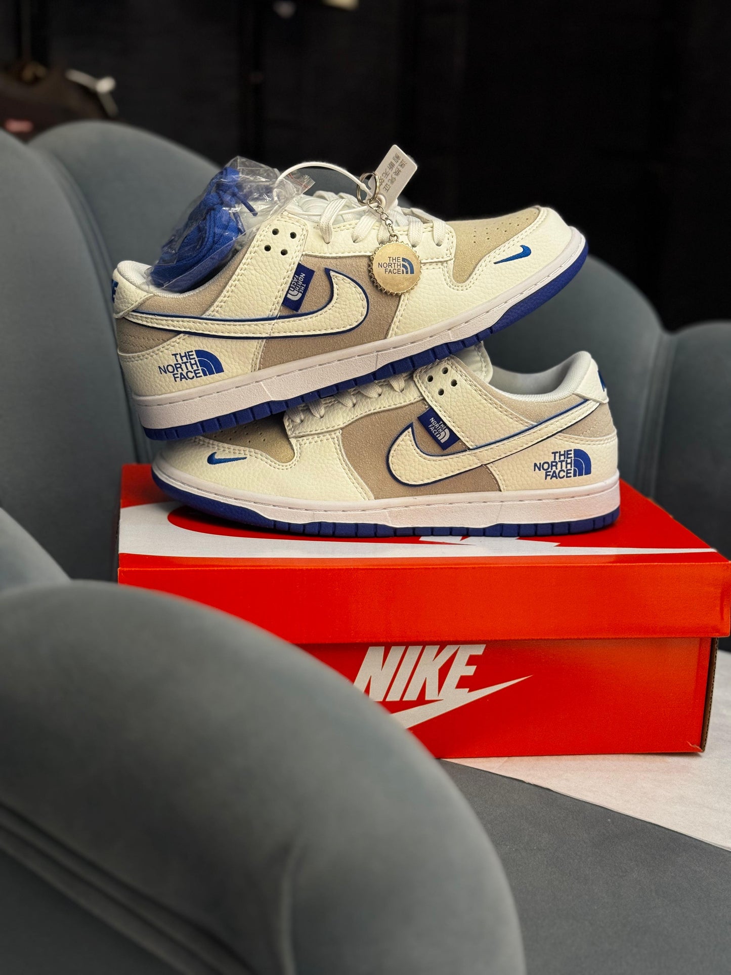 Nike sb dunk x north face