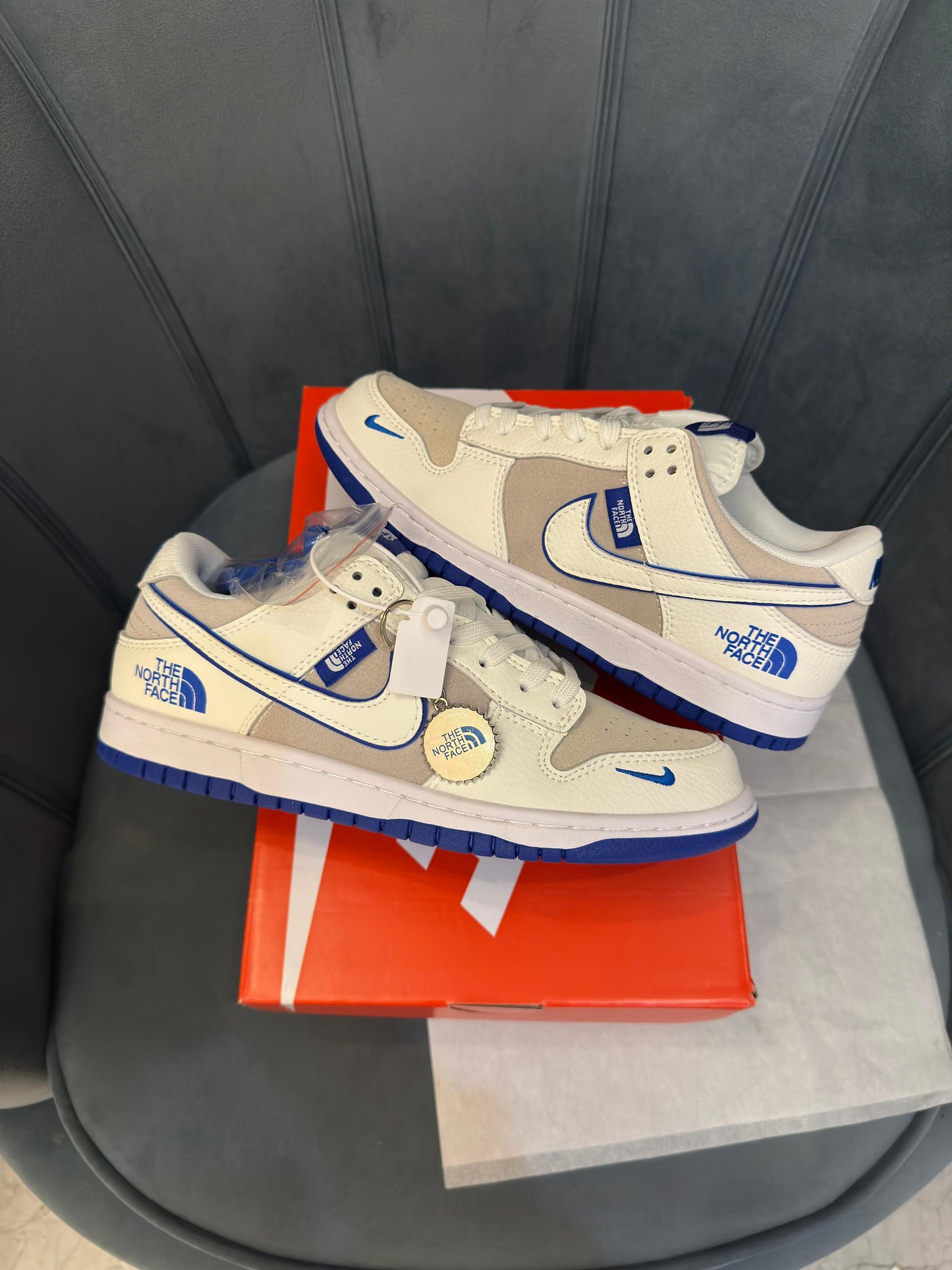 Nike sb dunk x north face