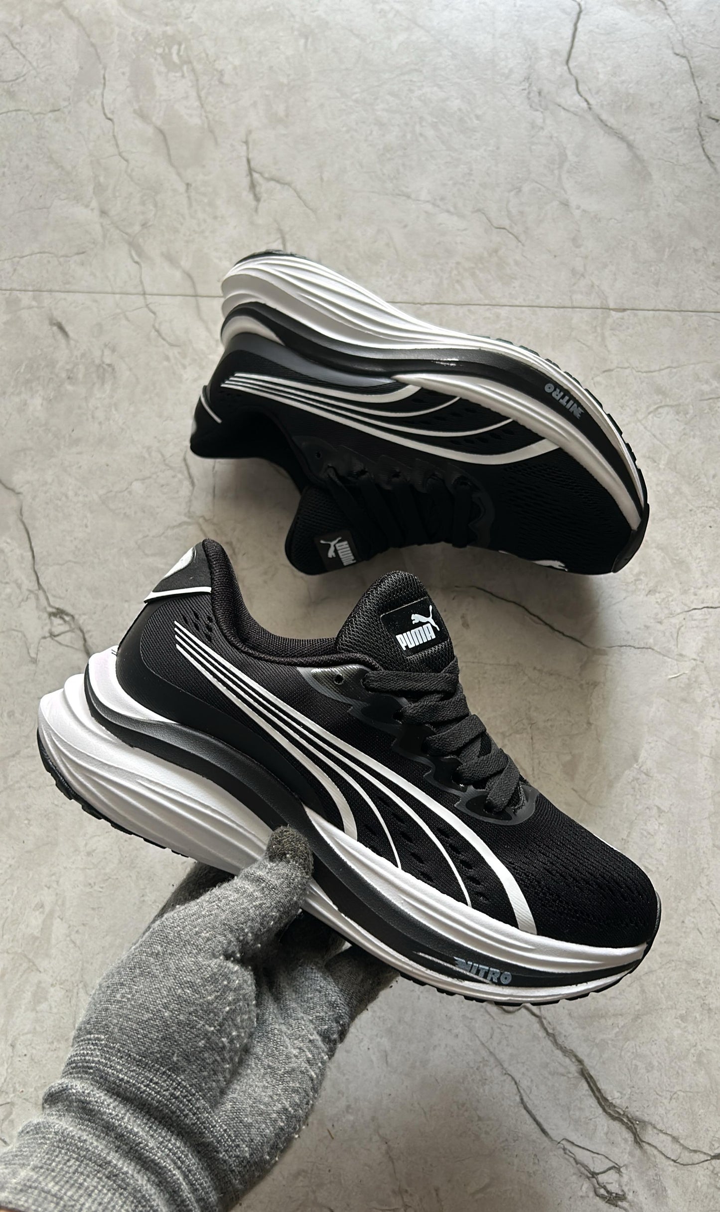 Puma magmax