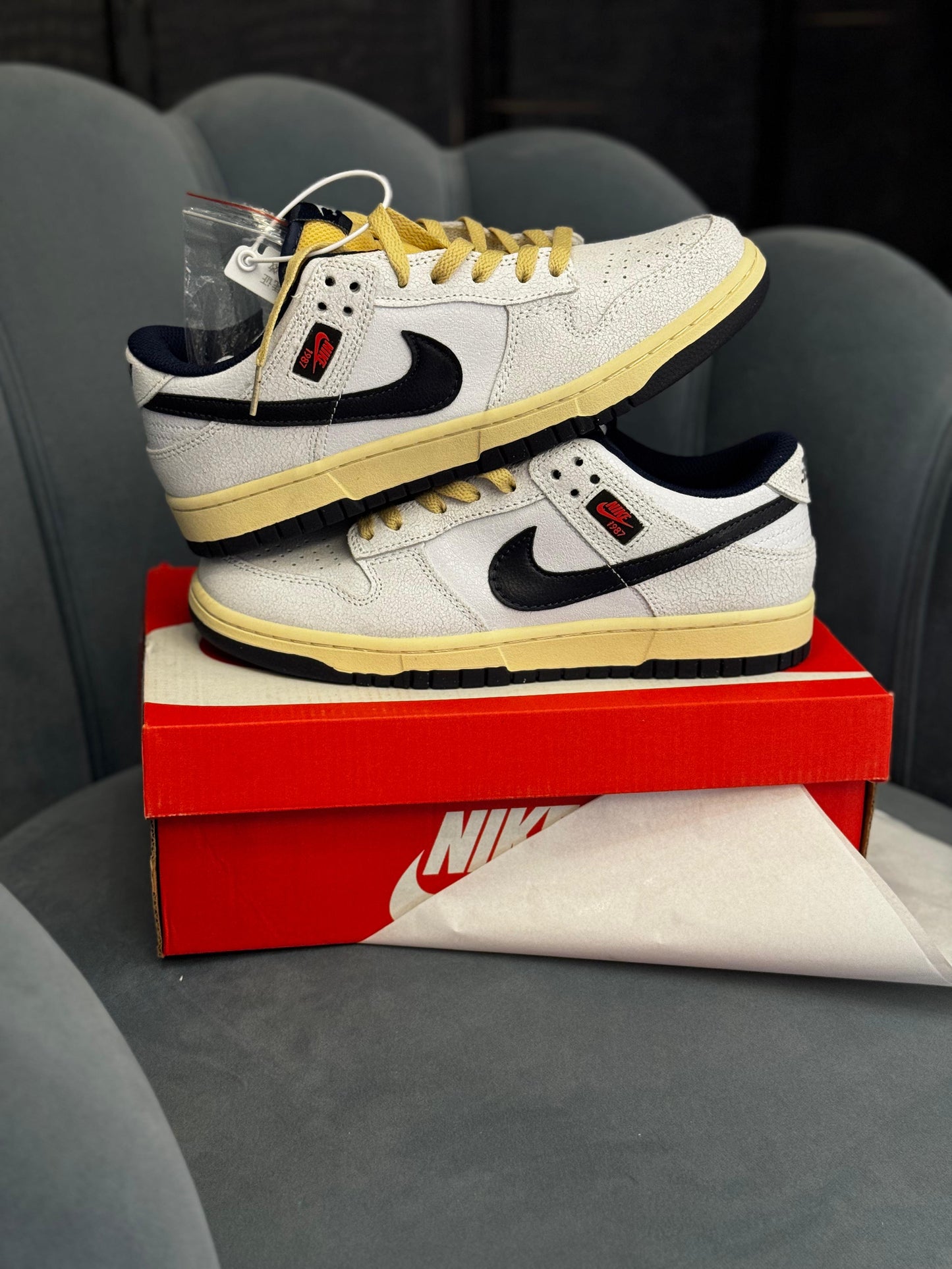 Nike sb dunk x stranger things