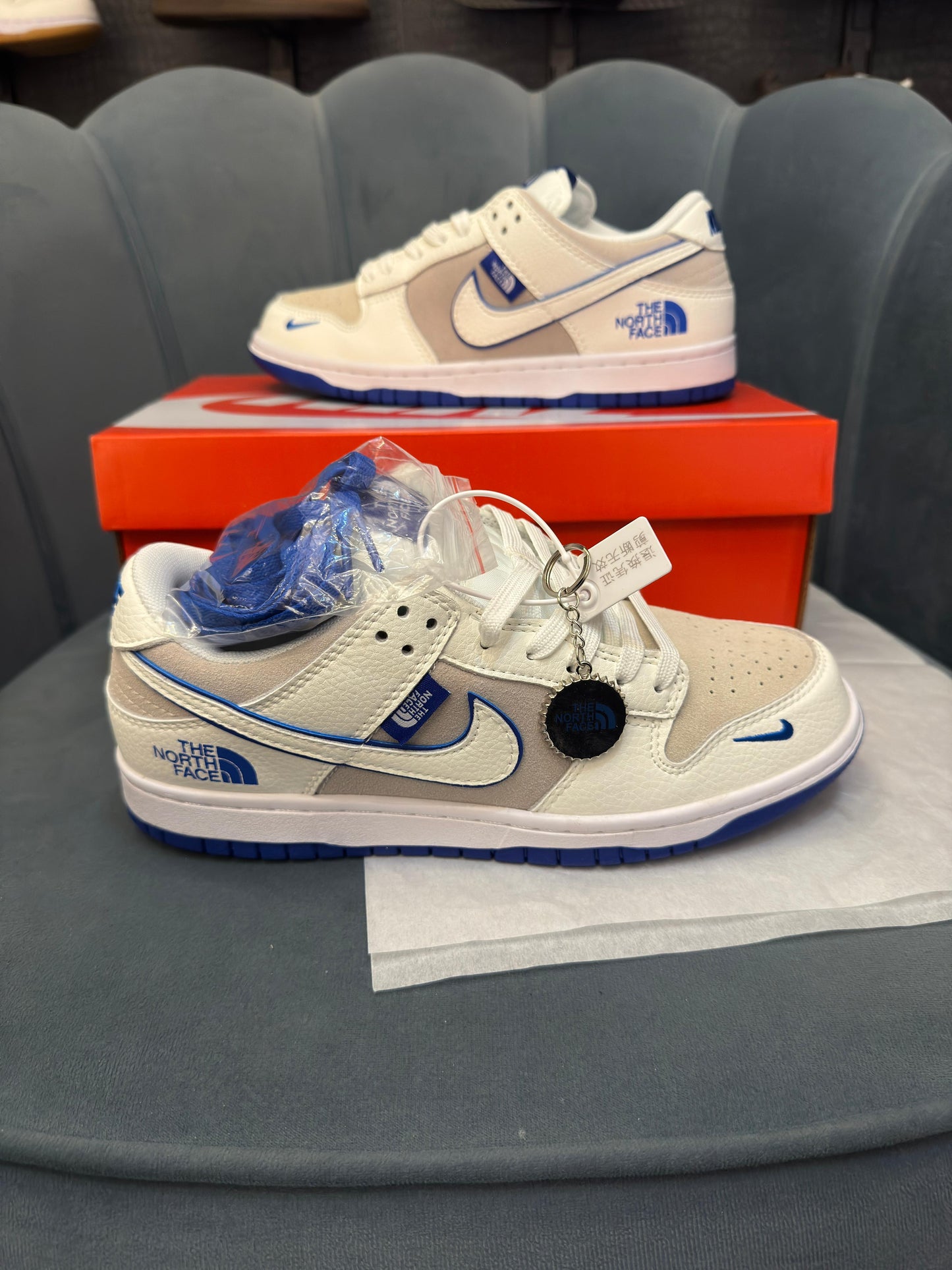 Nike sb dunk x north face
