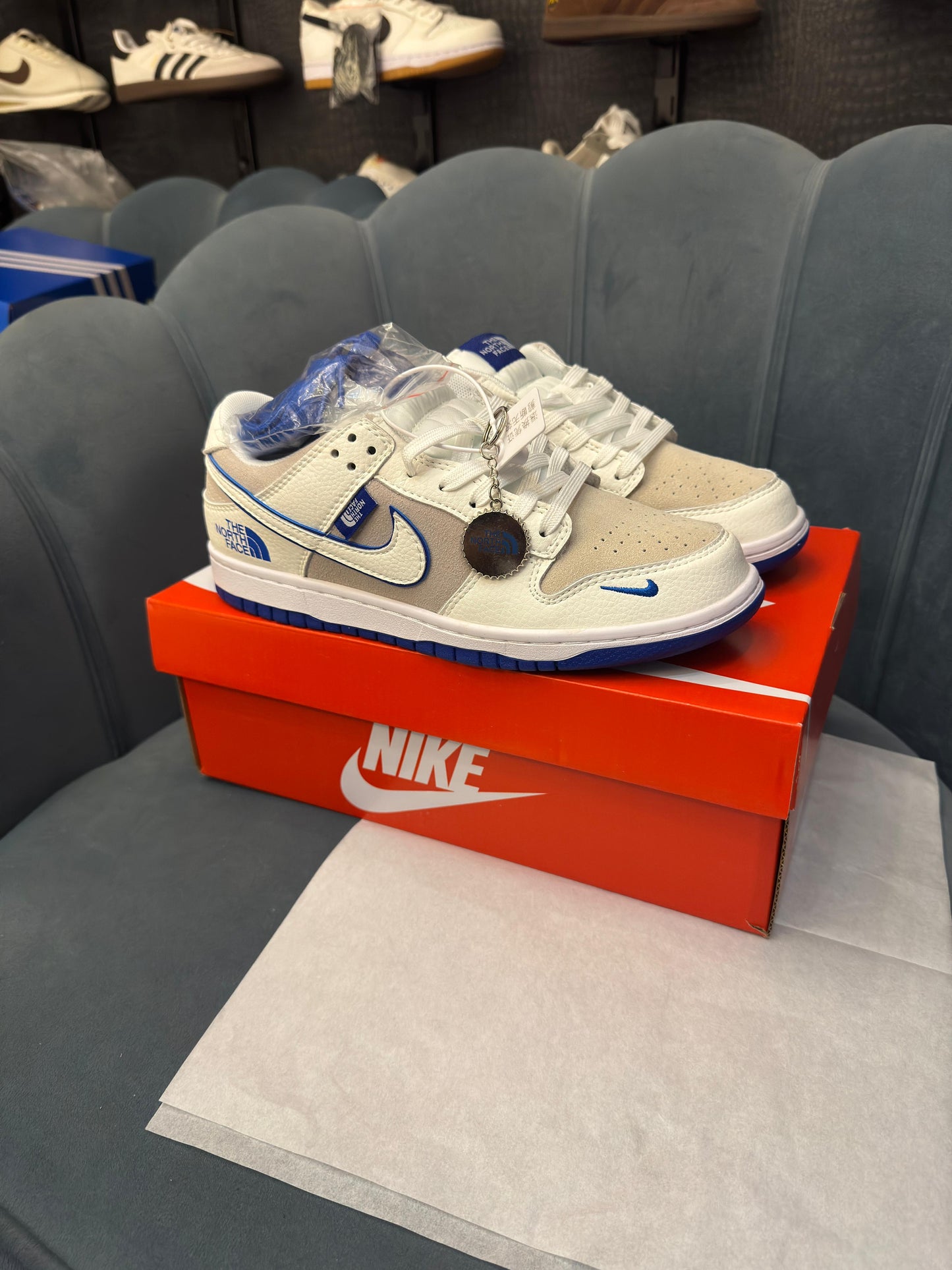Nike sb dunk x north face