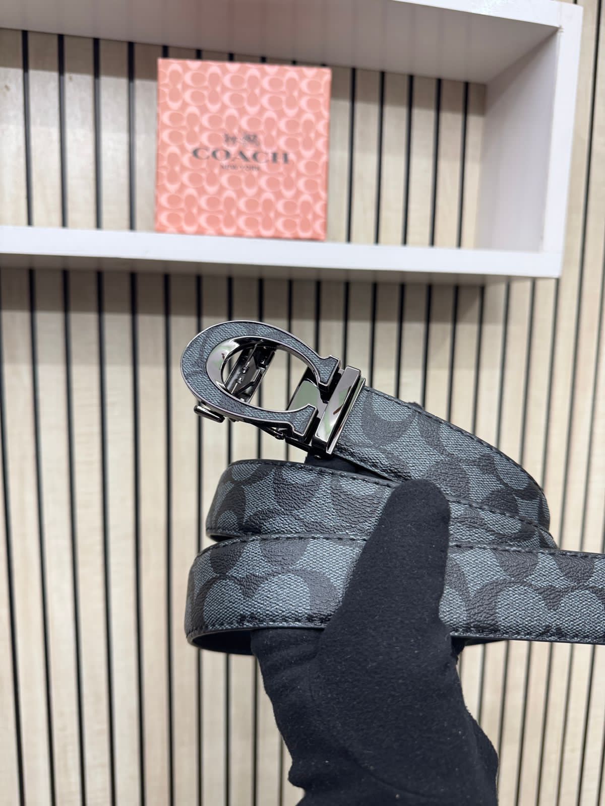 Coach auto lock belt