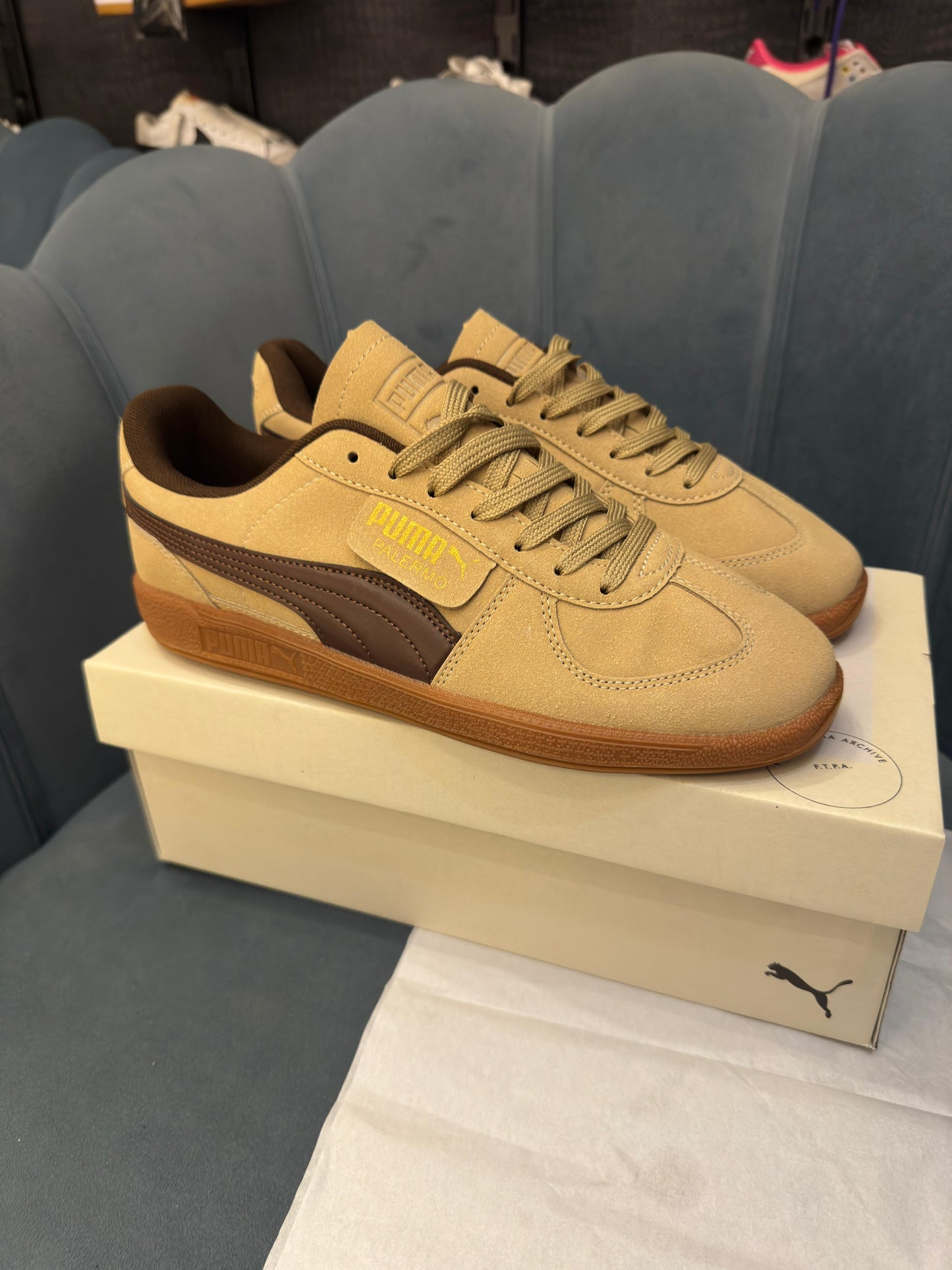 Puma palermo