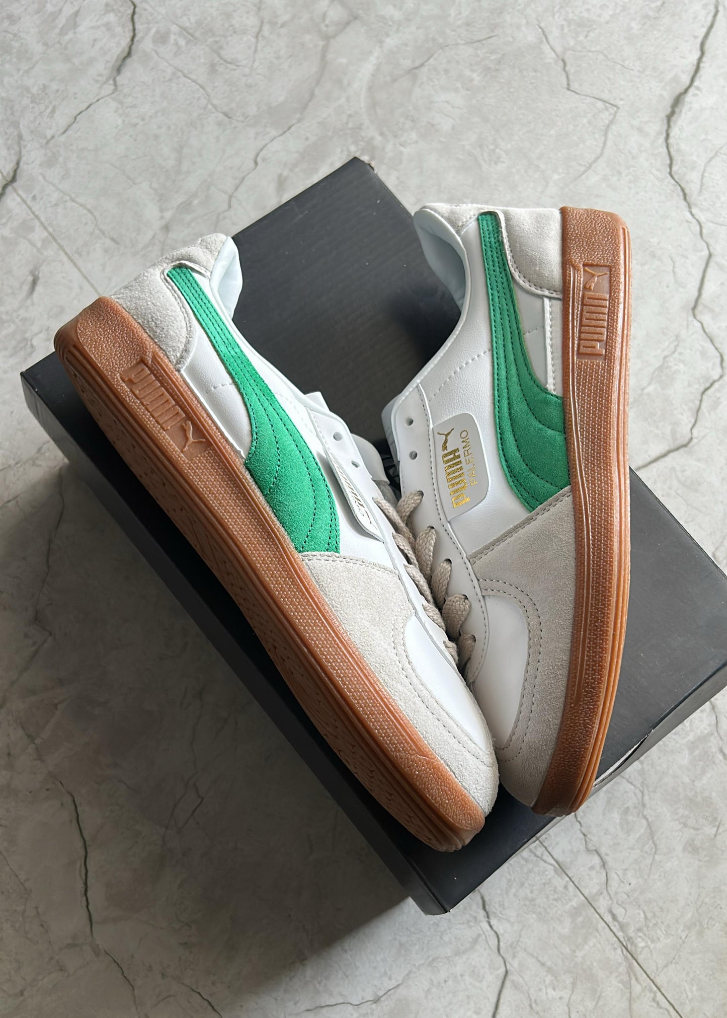 Puma palermo