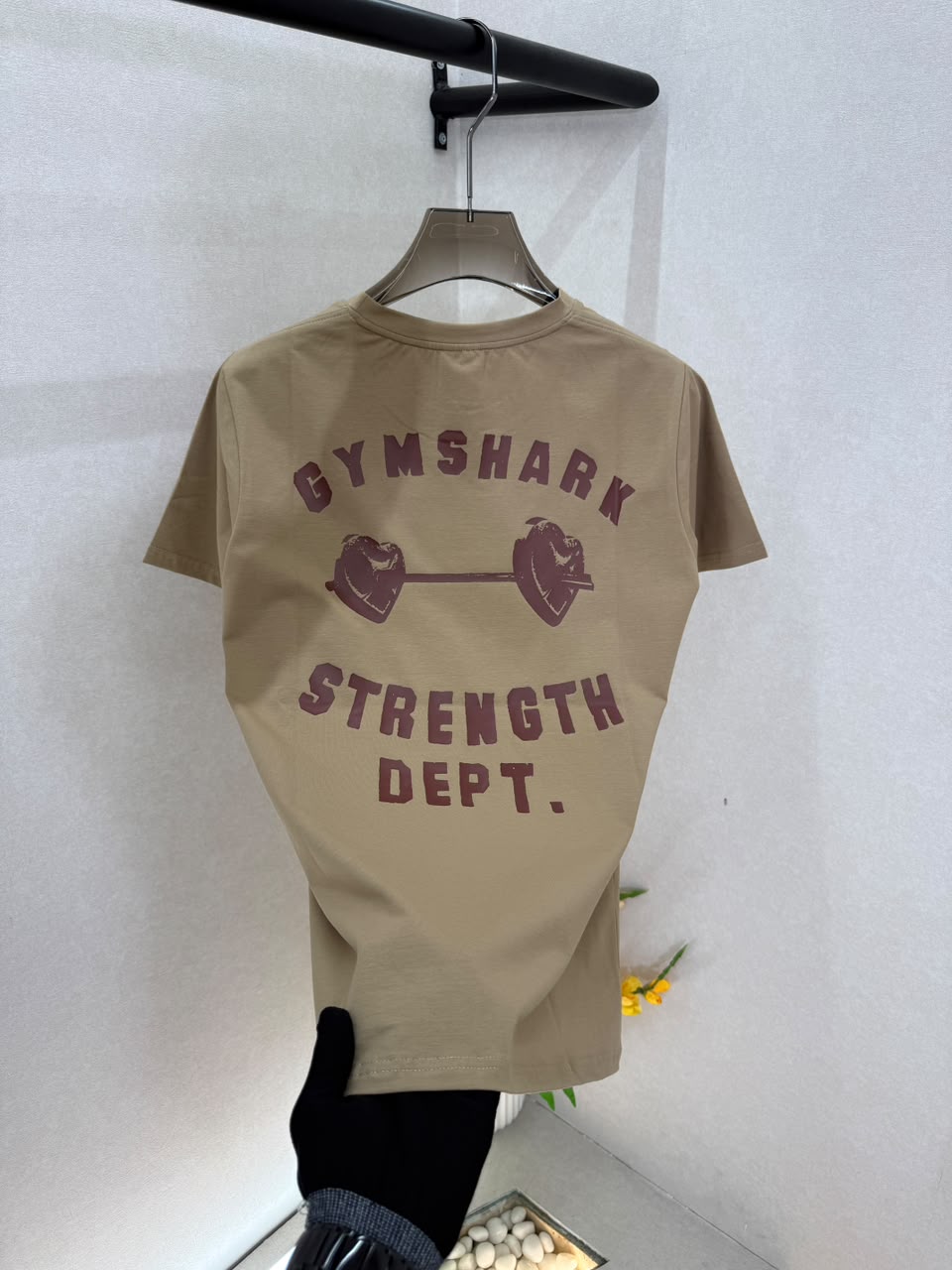 Gym Shark
