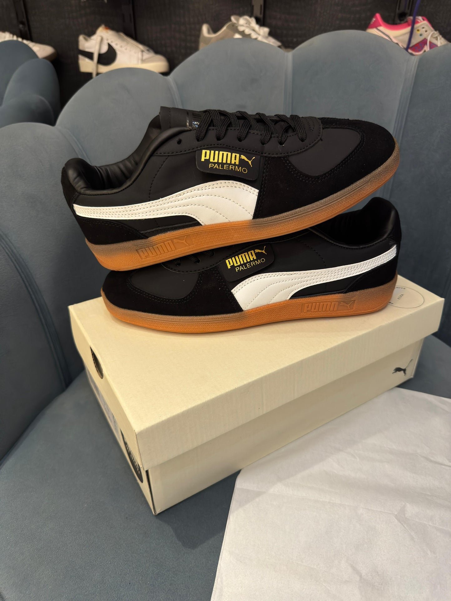 Puma palermo