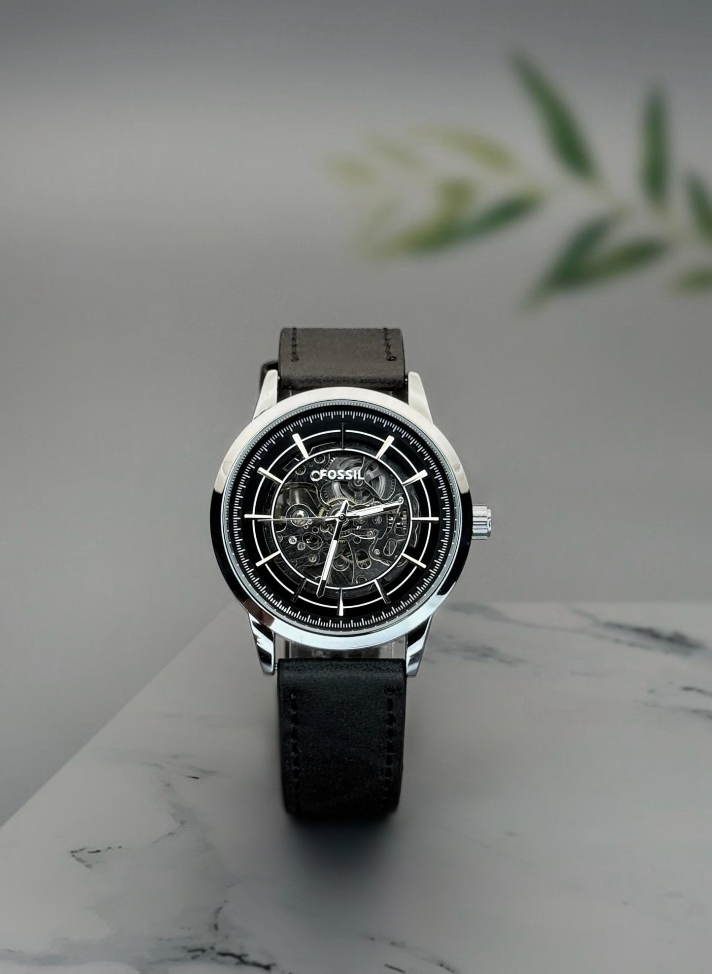 Fossil fsa