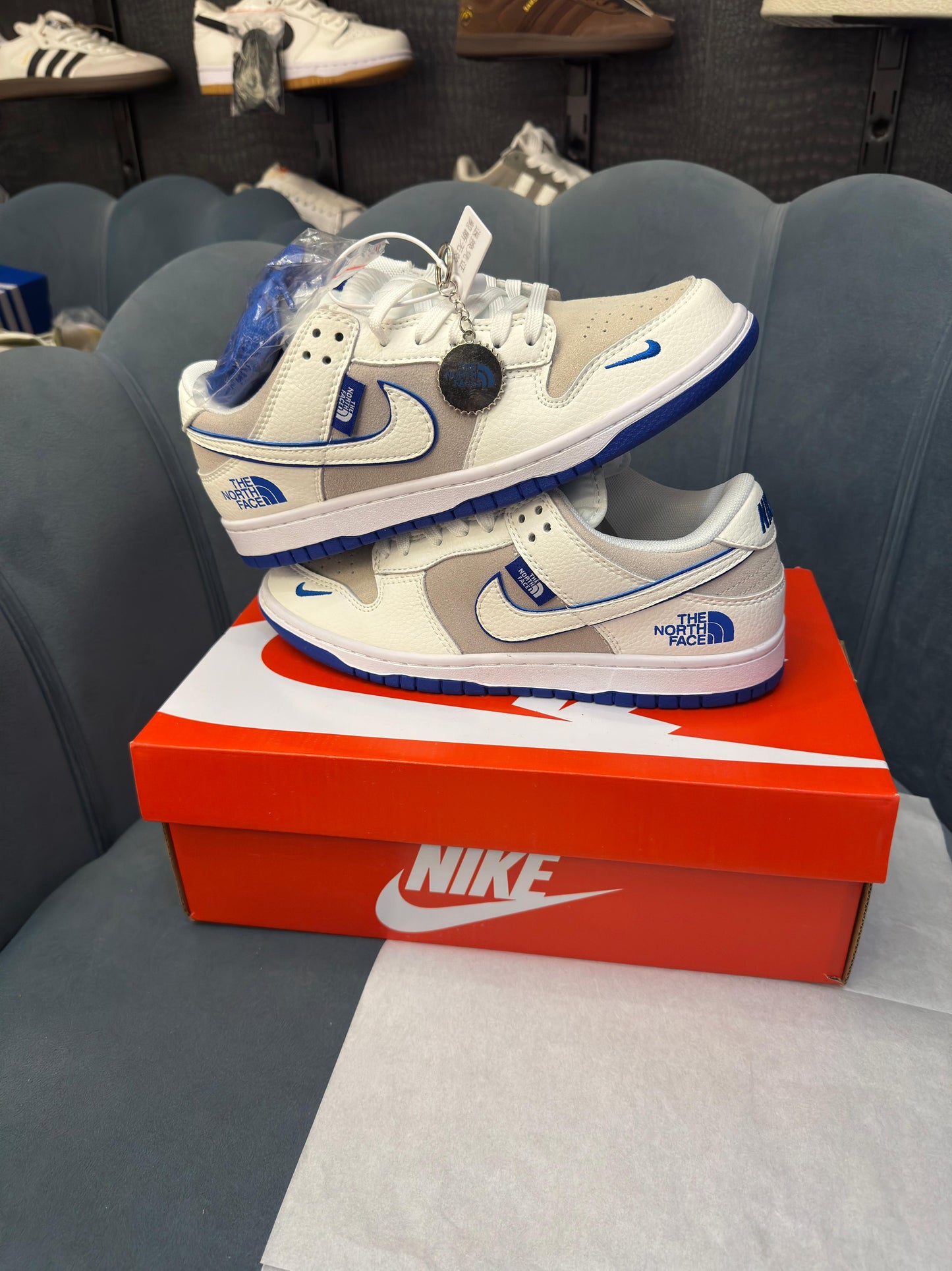 Nike sb dunk x north face